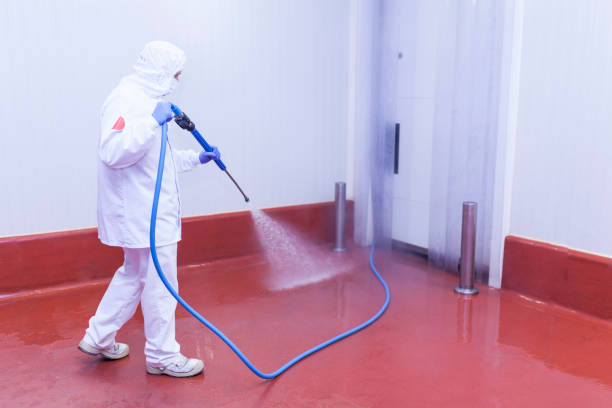 Best Rust Removal  in Camp Swift, TX