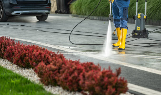 Best Driveway Pressure Washing  in Camp Swift, TX